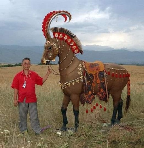 horsie armor.jpg